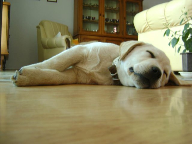 60825-11.jpg, 83 KB