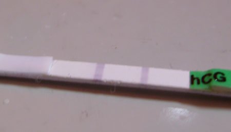 linije.jpg, 22 KB